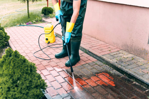 Best Roof Cleaning and Mildew Removal in Hooks, TX